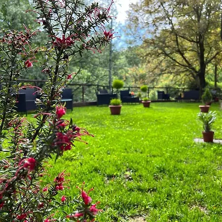 Bed & Breakfast Tre Elle *